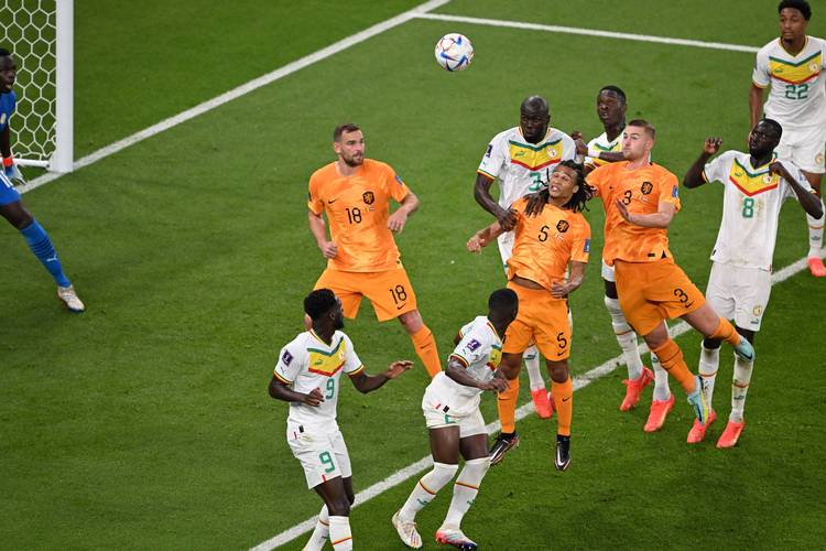 塞内加尔0-2荷兰的相关图片